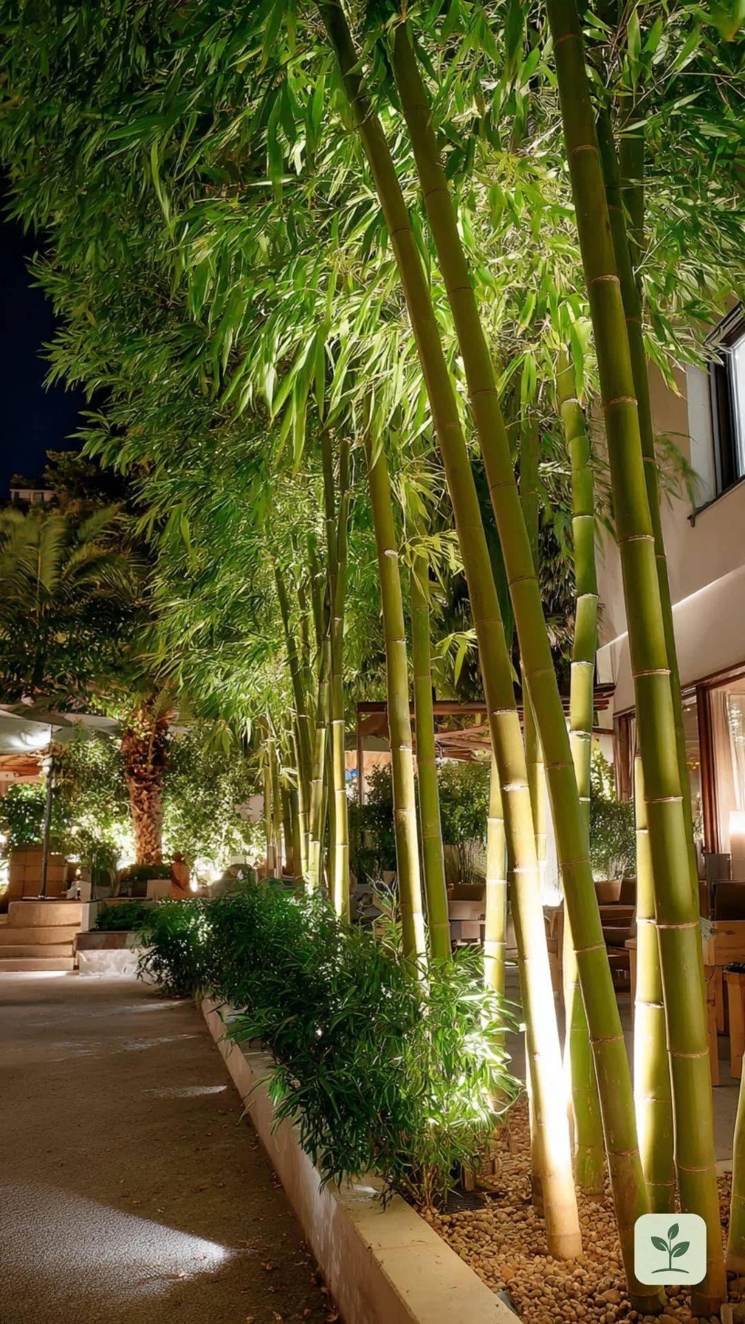 bambus-garten-beleuchtung-nacht