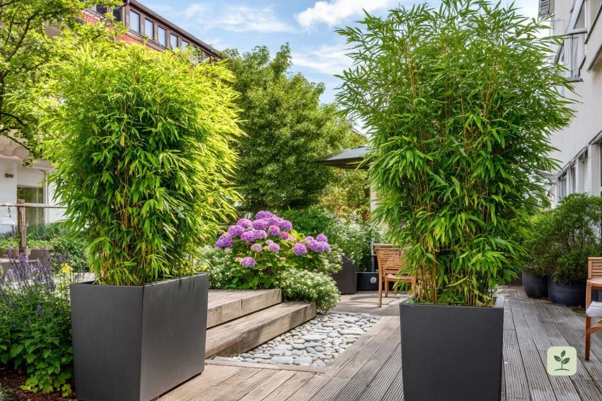 bambus-garten-ideen-titelbild