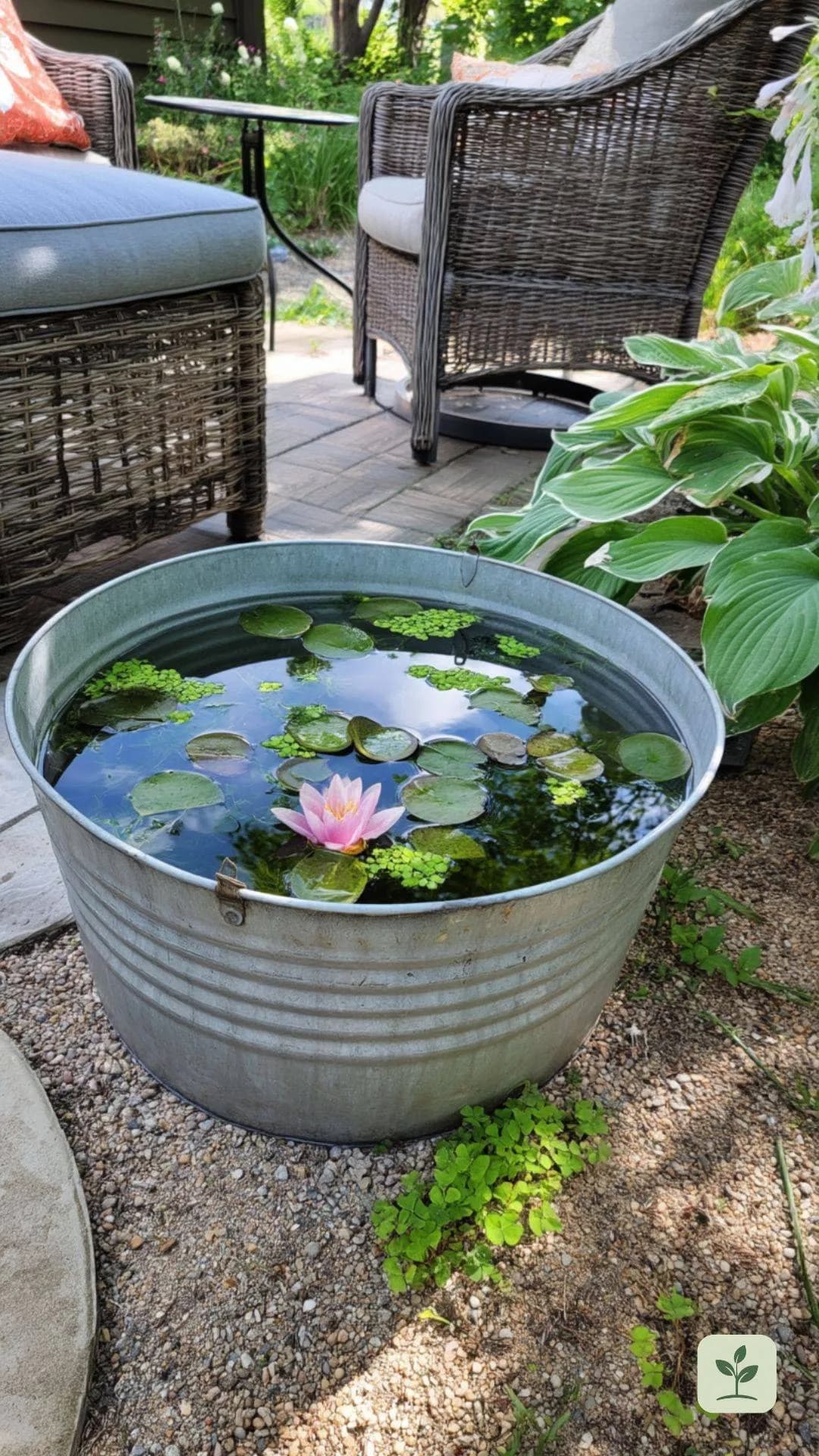 garten-deko-ideen-zinkwanne-miniteich