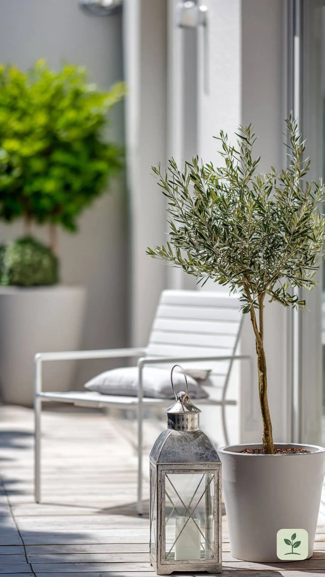 kleine-terrasse-minimalistisch-dekoriert