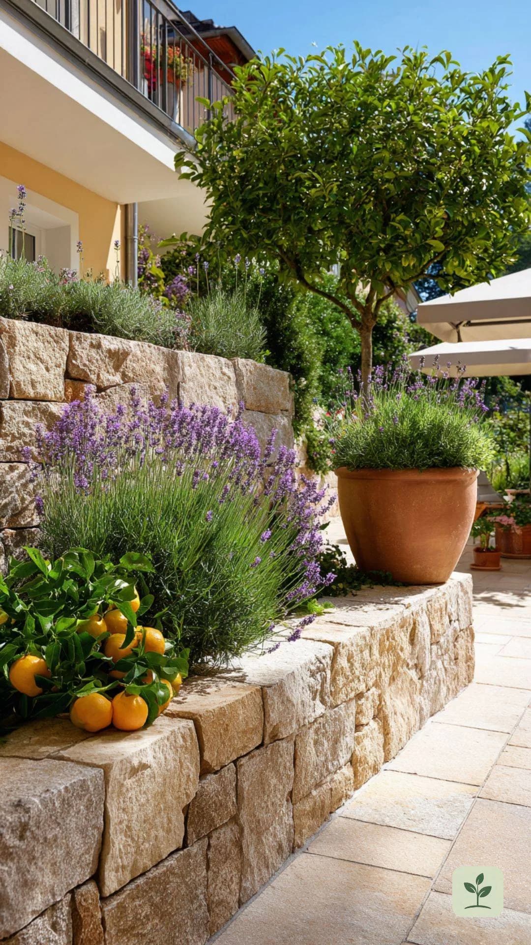 mediterrane-terrasse-mit-kraeuterbeet