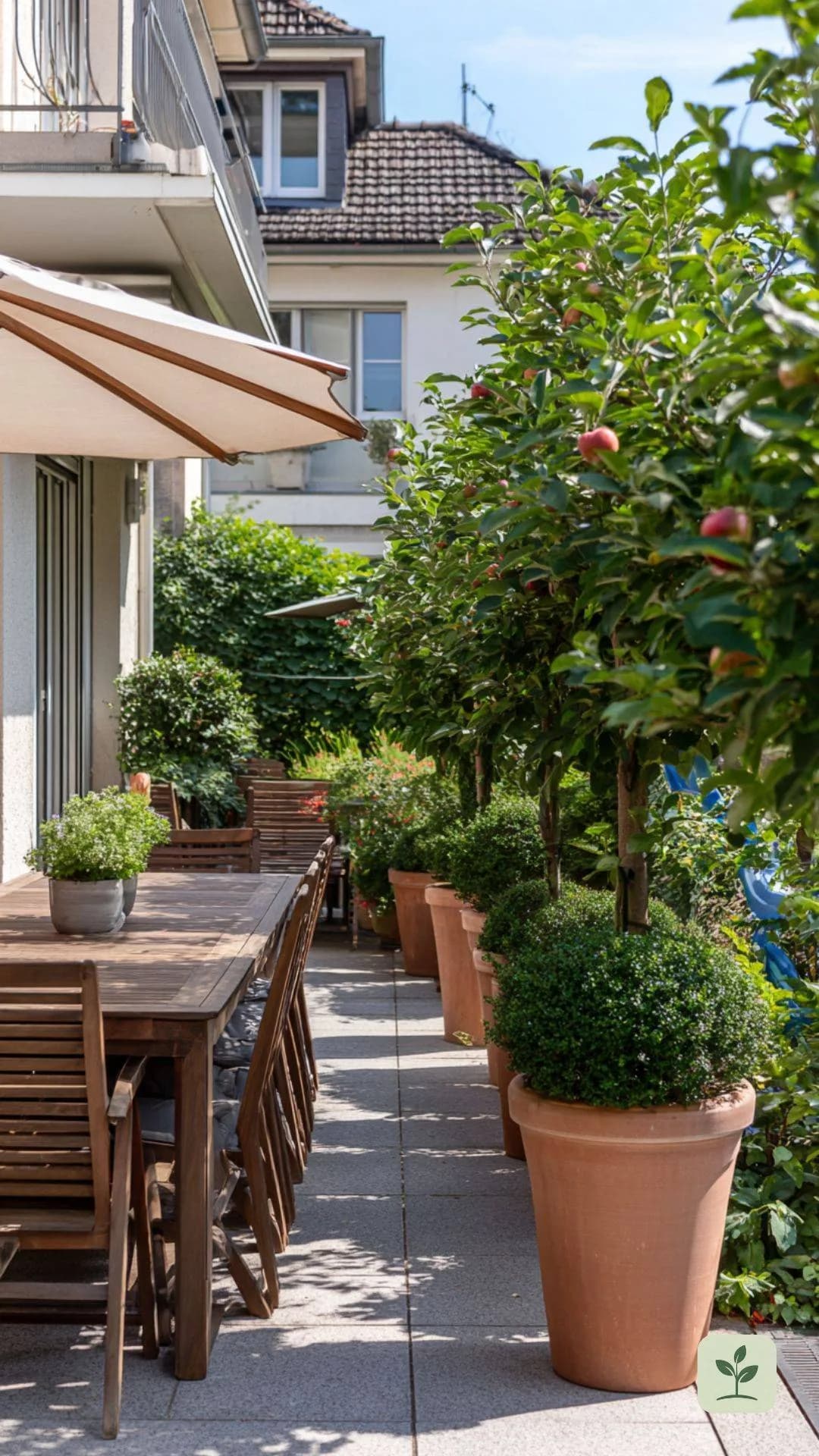 saeulenobst-sichtschutz-pflanzen-terrasse