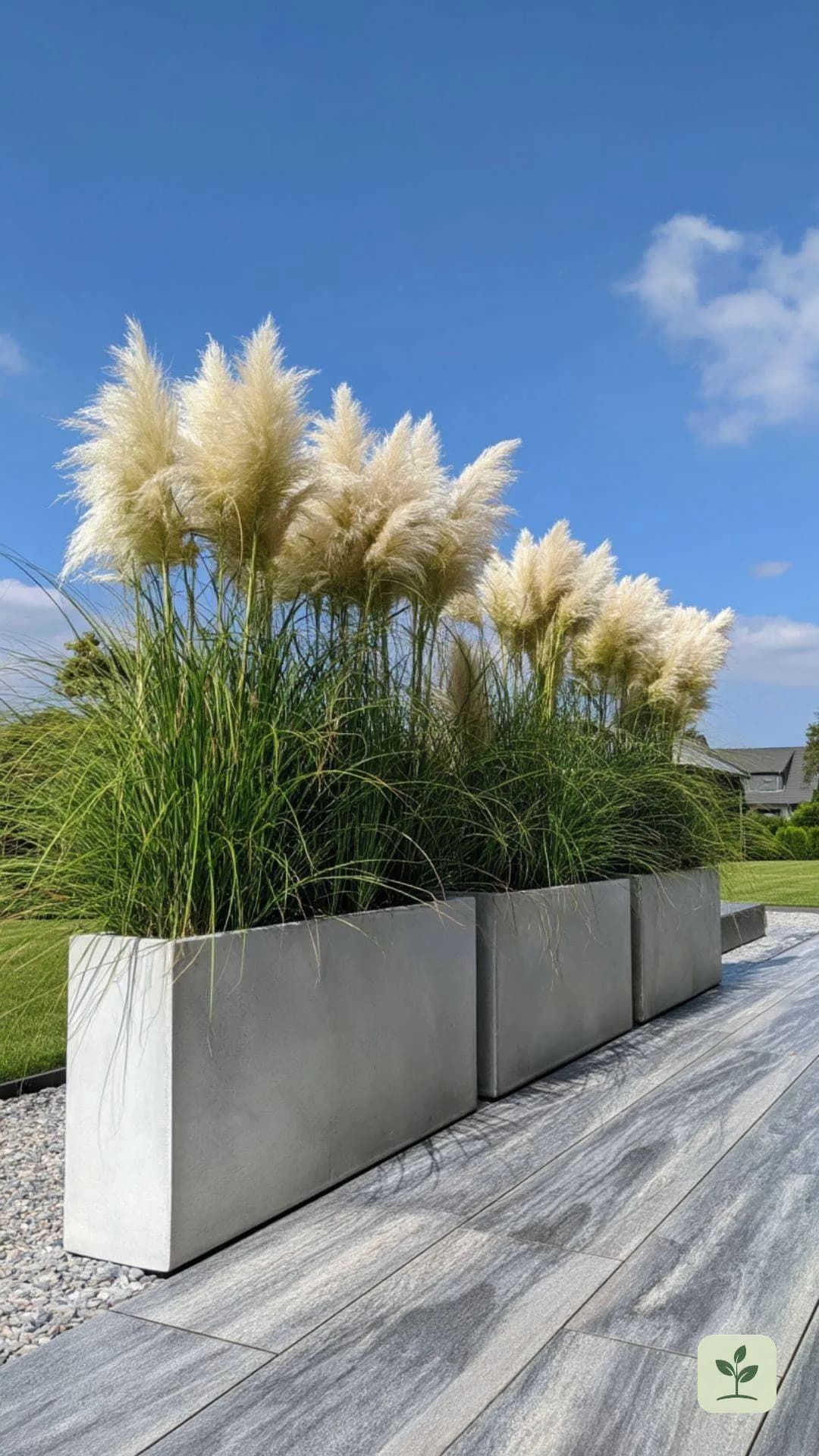 terrasse-dekorieren-sichtschutz-graeser