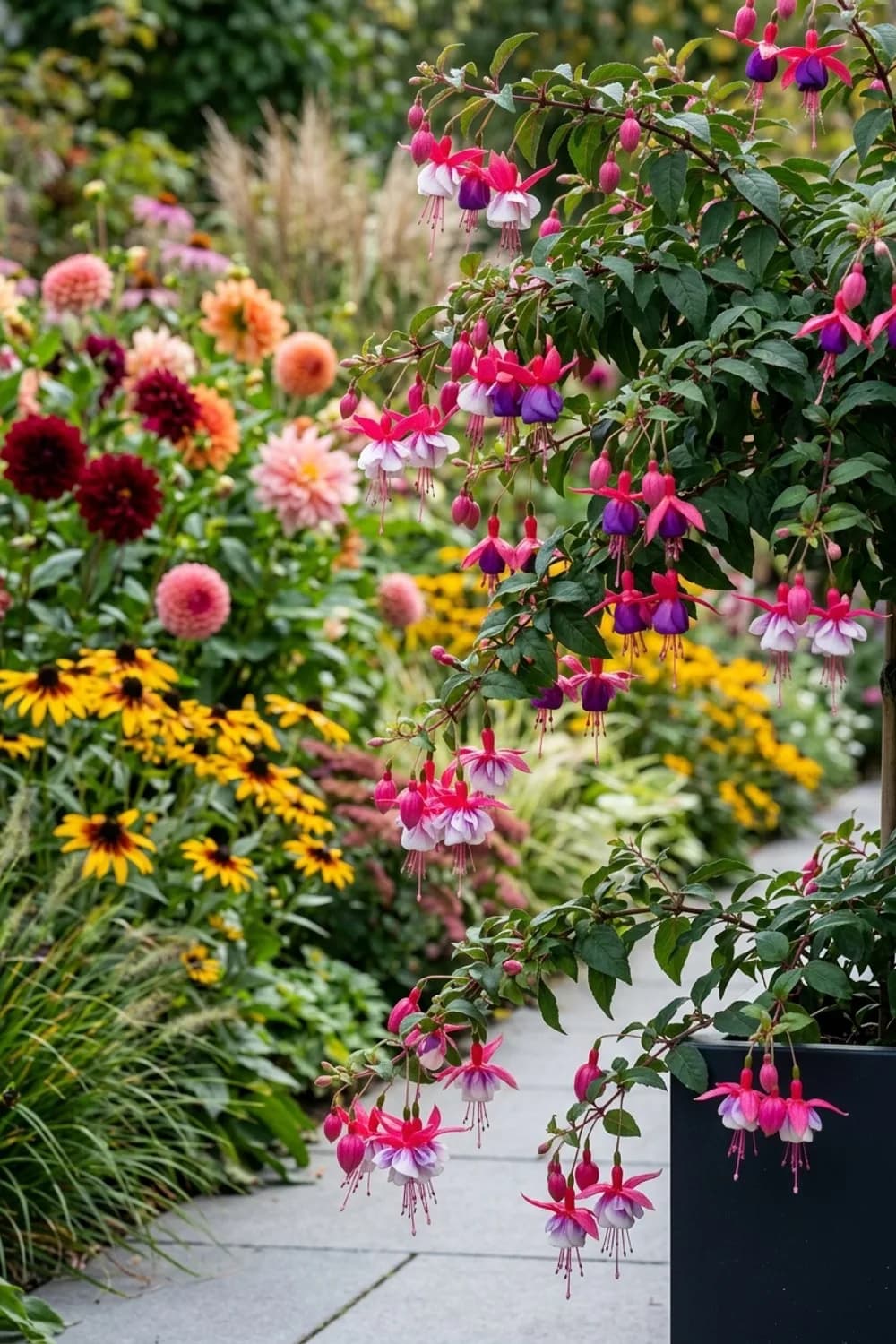 Fuchsien: Elegante Blütenkaskaden für den Halbschatten – Pflanzen auf dem Balkon: 7 schöne Ideen