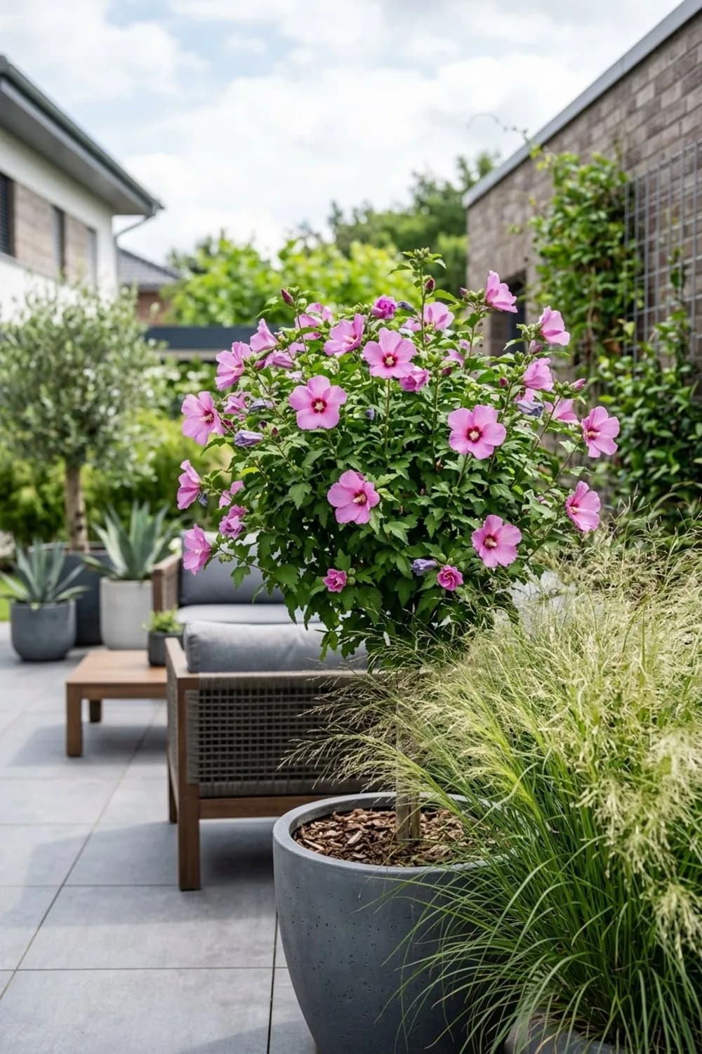 Moderne Eleganz: Hibiskus kombiniert mit Ziergräsern – Hibiskus im Garten: 11 schöne Ideen