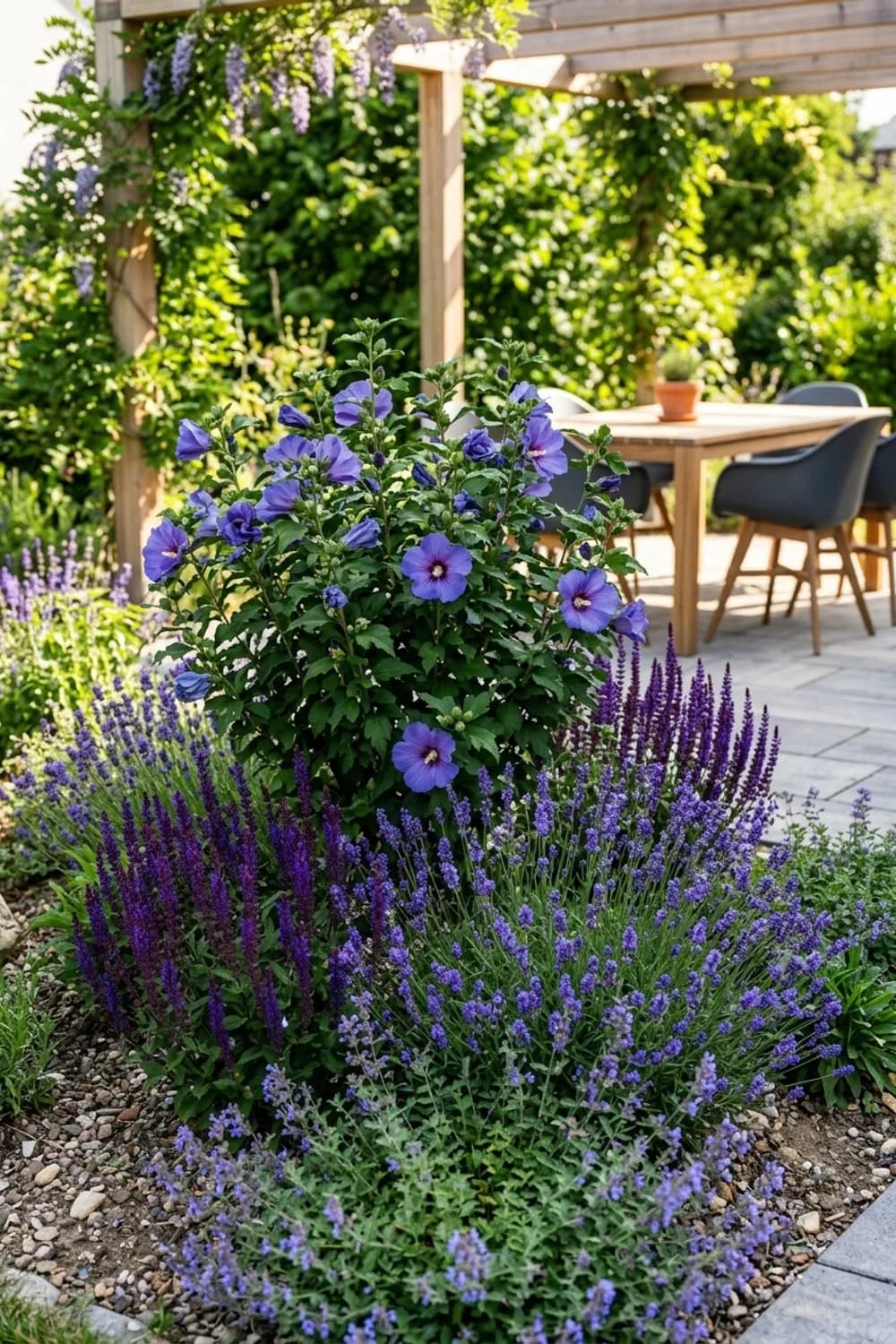 Staudenbeet-Partner: Hibiskus mit Lavendel und Salbei unterpflanzen – Hibiskus im Garten: 11 schöne Ideen