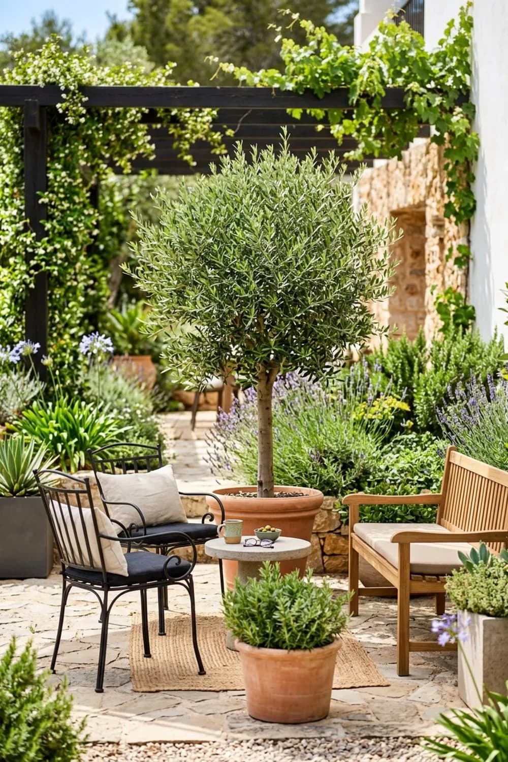 Ein Sitzplatz: Das grüne Wohnzimmer – Olivenbaum im Garten: 9 schöne Ideen