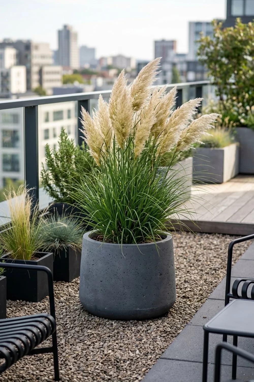 Kübelkultur: Pampasgras auf Balkon und Terrasse – Pampasgras im Garten: 7 schöne Ideen
