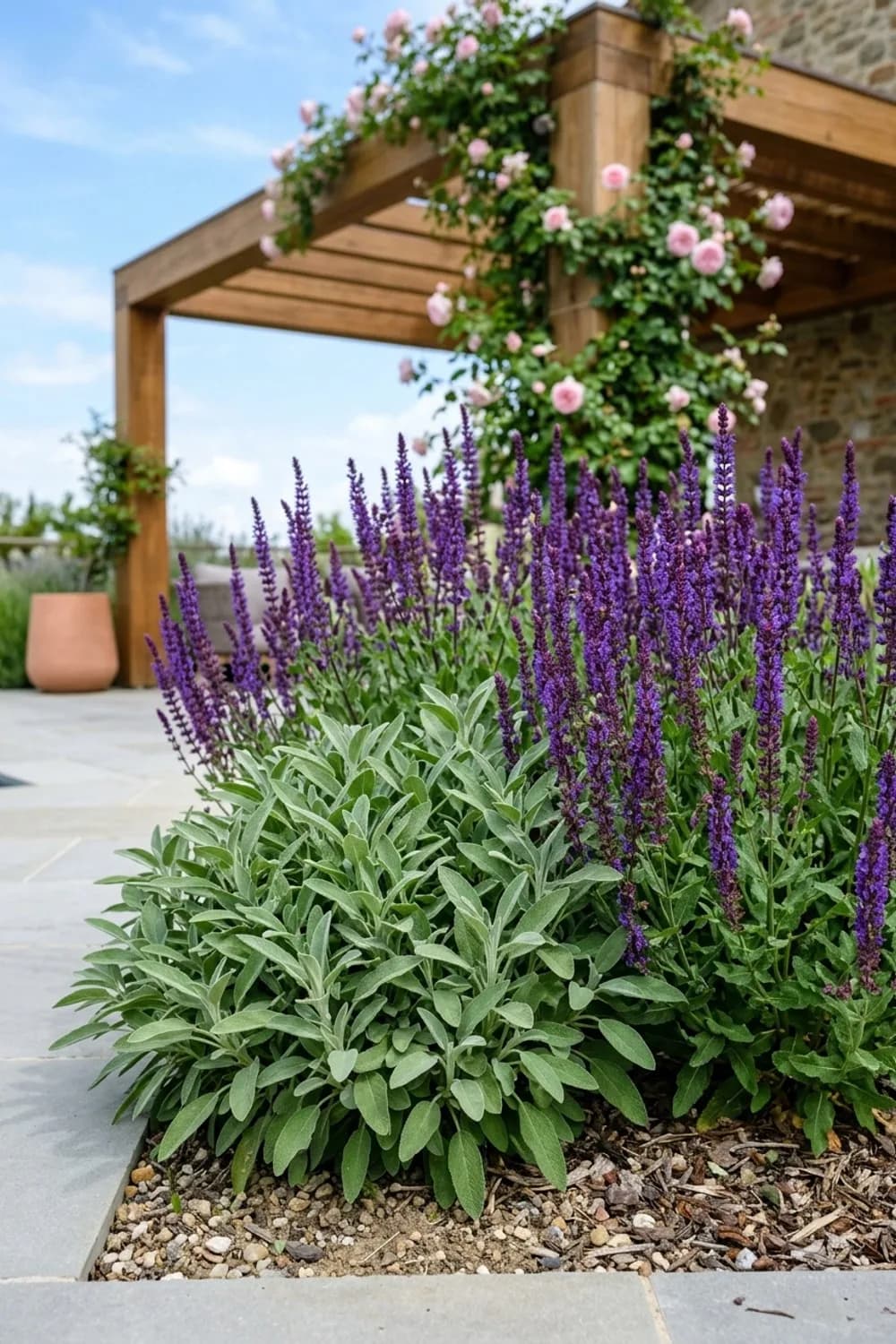 Salbei: Vielseitiger Alleskönner in Grau und Violett – Toskanischer Garten: 11 schöne Ideen