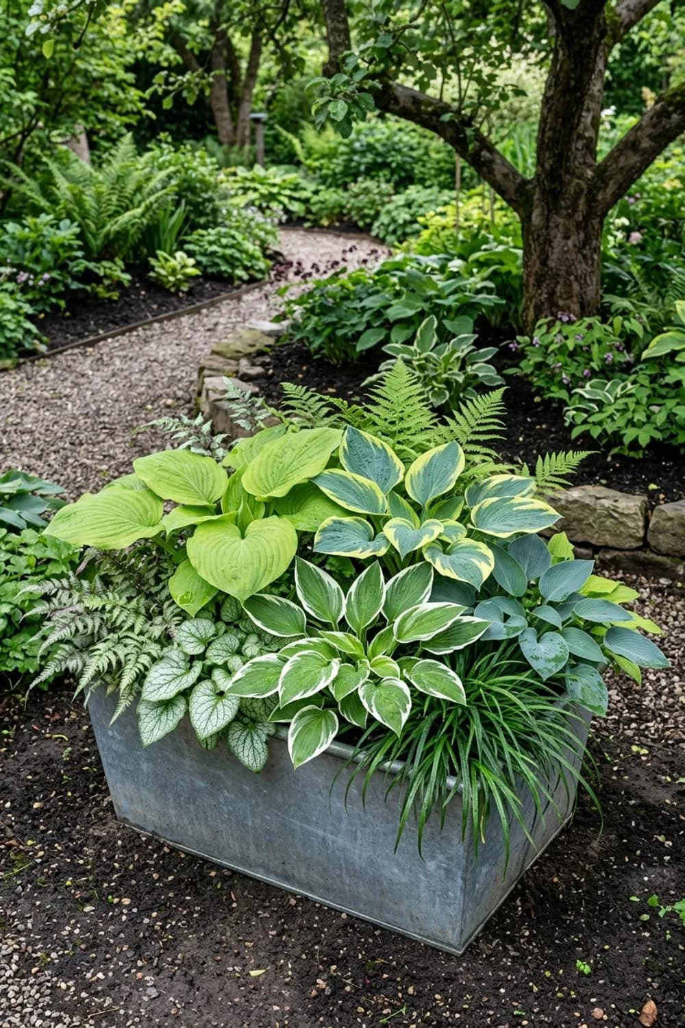 Schattenspiel mit Farnen und Hostas: Elegante Grüntöne – Zinkwanne dekorieren im Garten: 10 schöne Ideen